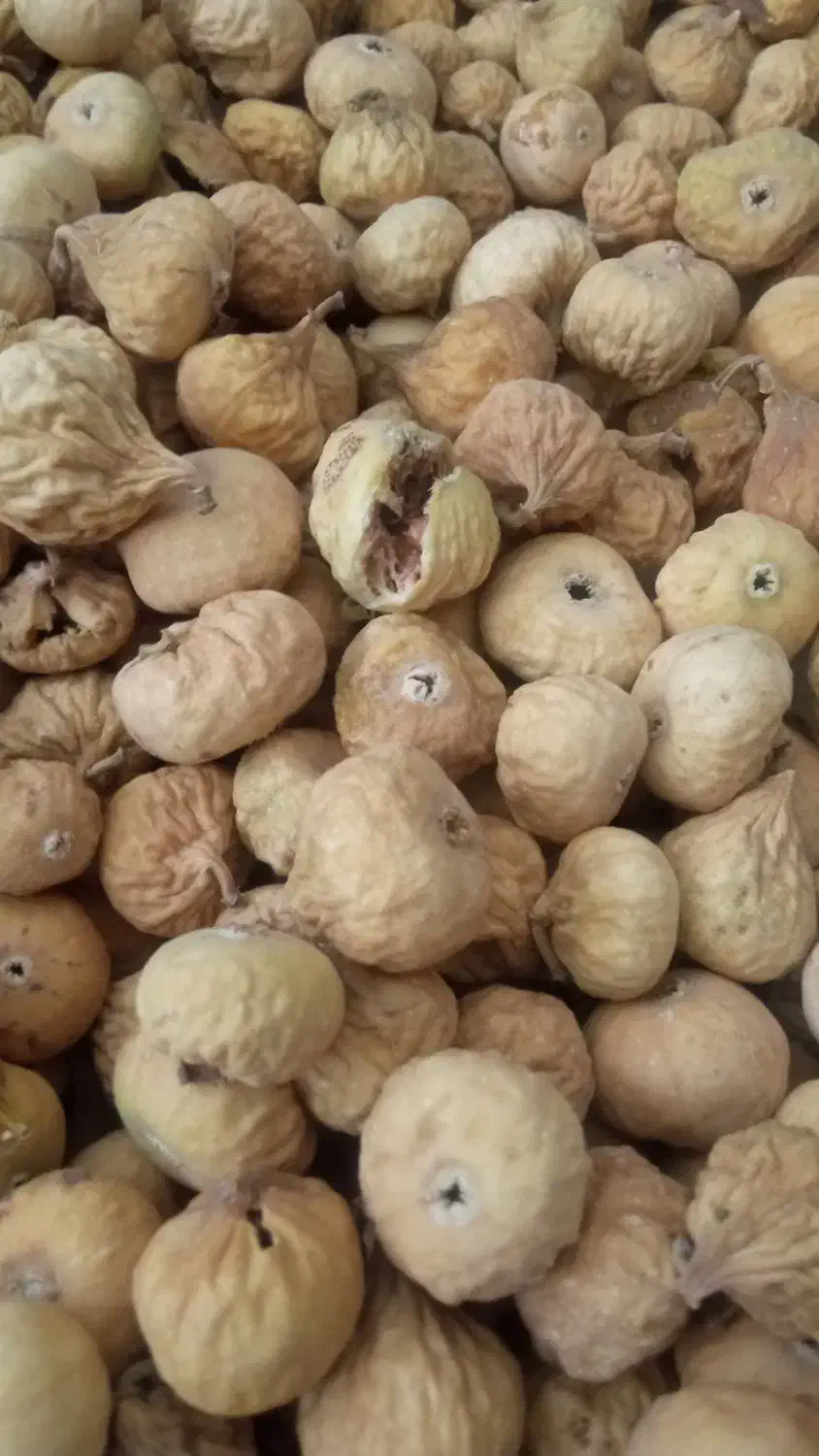 انجیر استهبان|خوردنی و آشامیدنی|شیراز, گل سرخ|دیوار