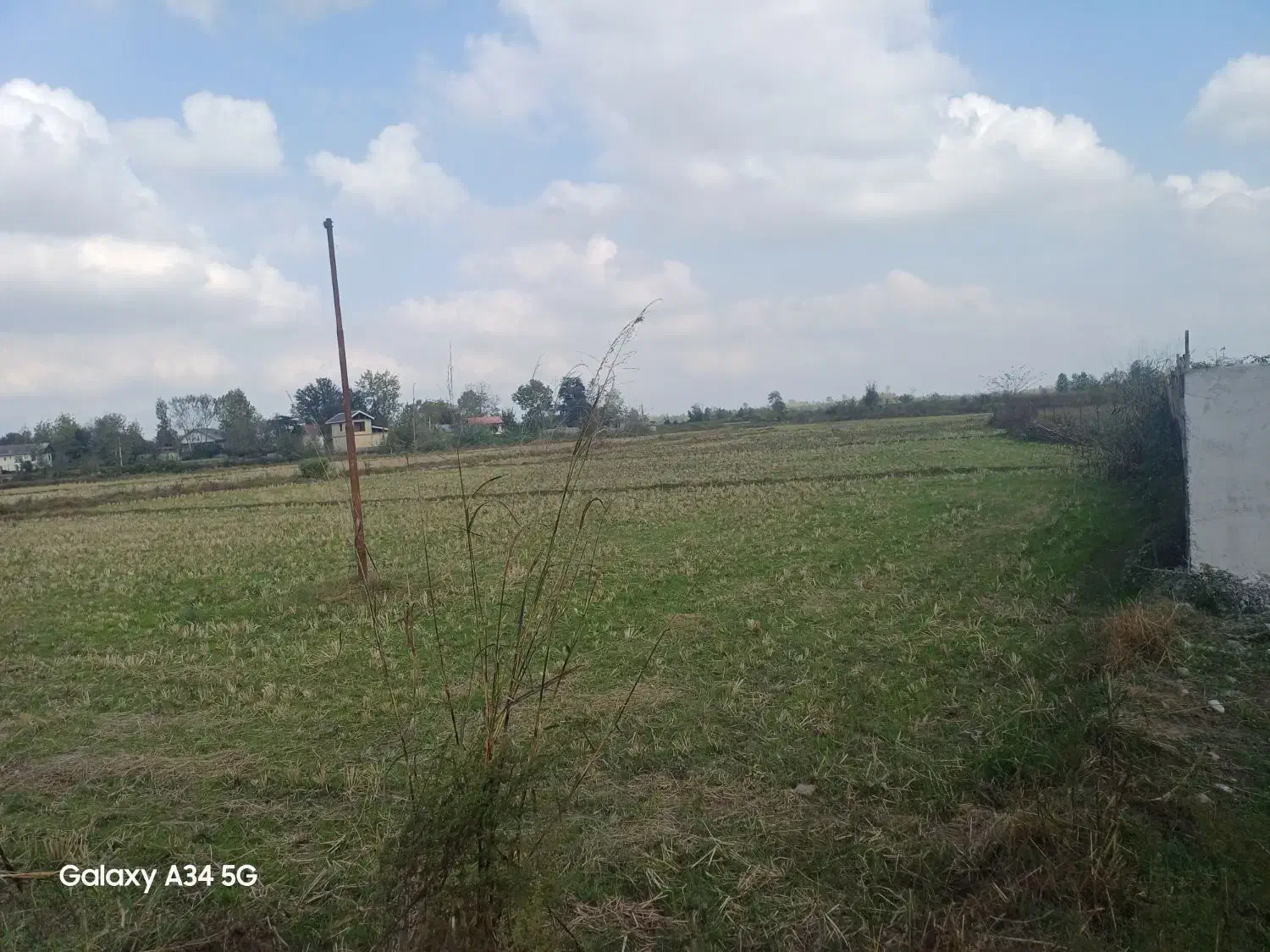 شالیزار سنتی چسبیده به خونه مسکونی|فروش زمین و ملک کلنگی|رشت, بازار|دیوار