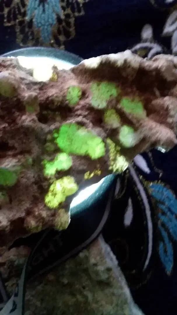 فروش انواع سنگ|جواهرات|سیرجان, |دیوار