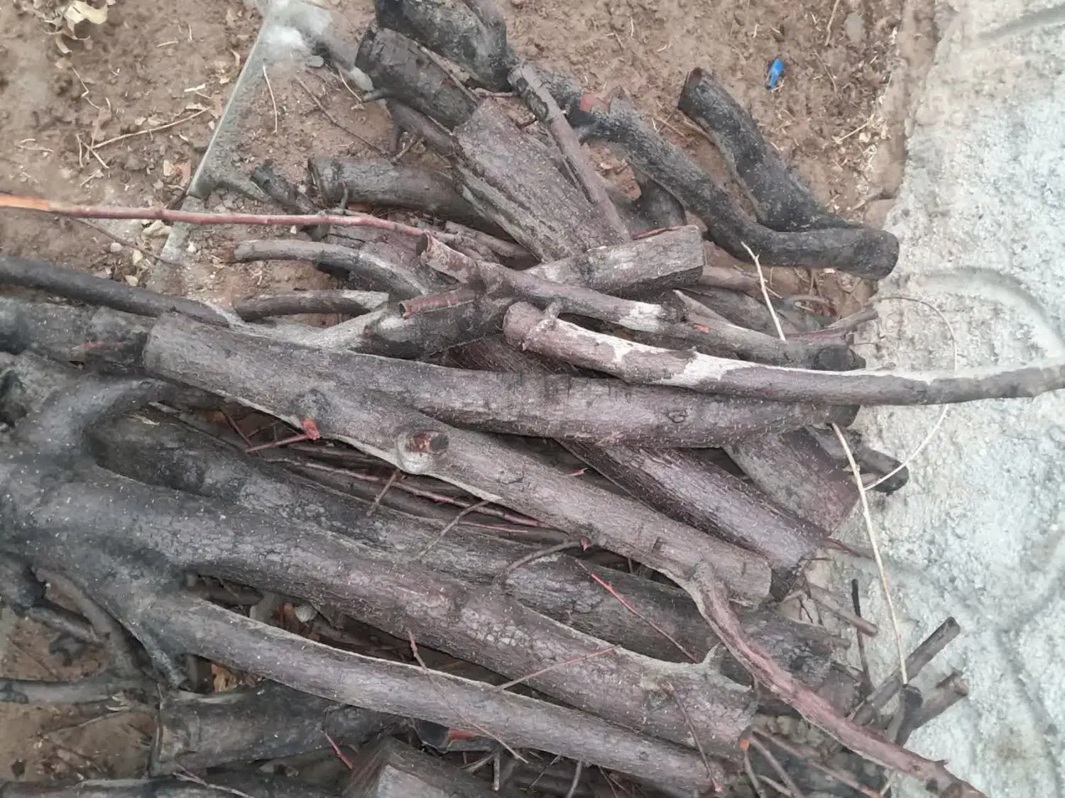 کنده شومینه ای و توتی|بخاری، هیتر، شومینه|مهریز, |دیوار