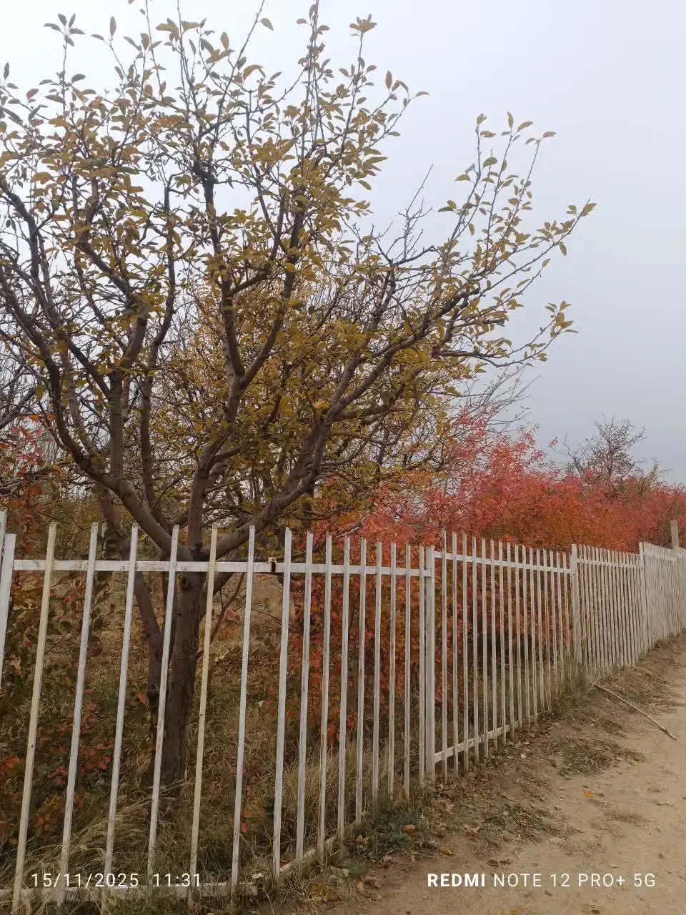 باغ|فروش خانه و ویلا|مرند, |دیوار