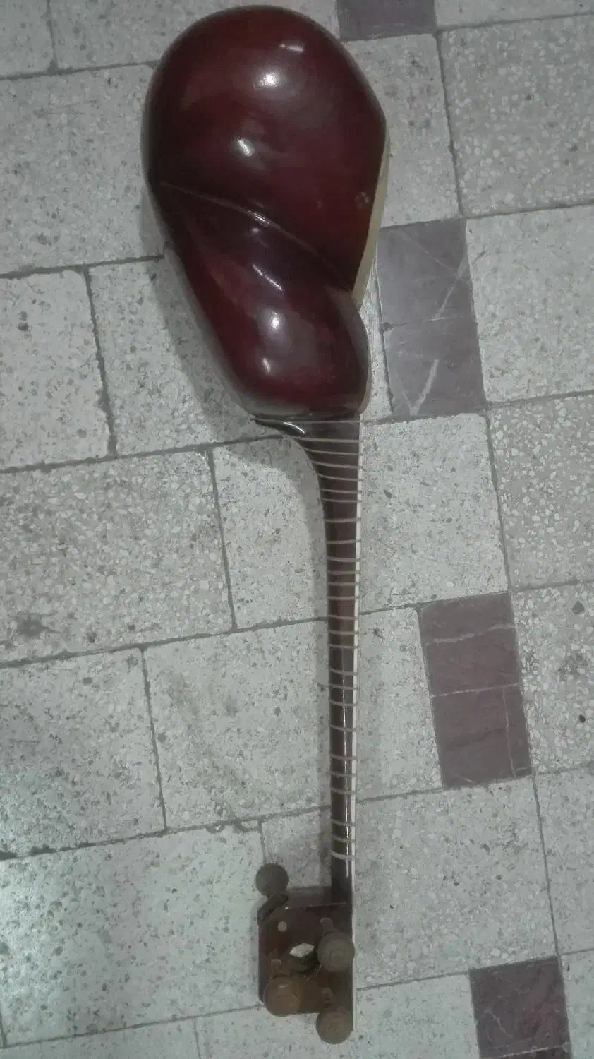 تارسنتی|سازهای سنتی|سبزوار, قصبه اب یمین|دیوار