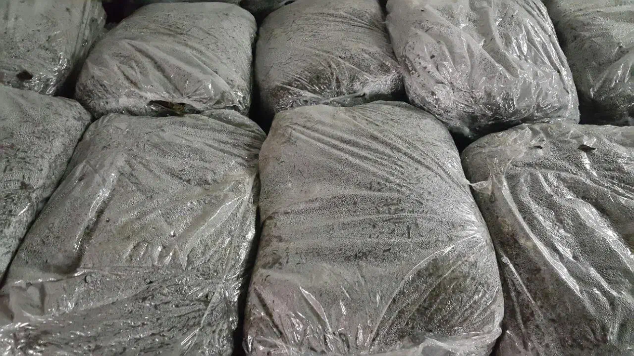 کمپوست قارچ دکمه ای|خدمات باغبانی و درختکاری|ارومیه, |دیوار