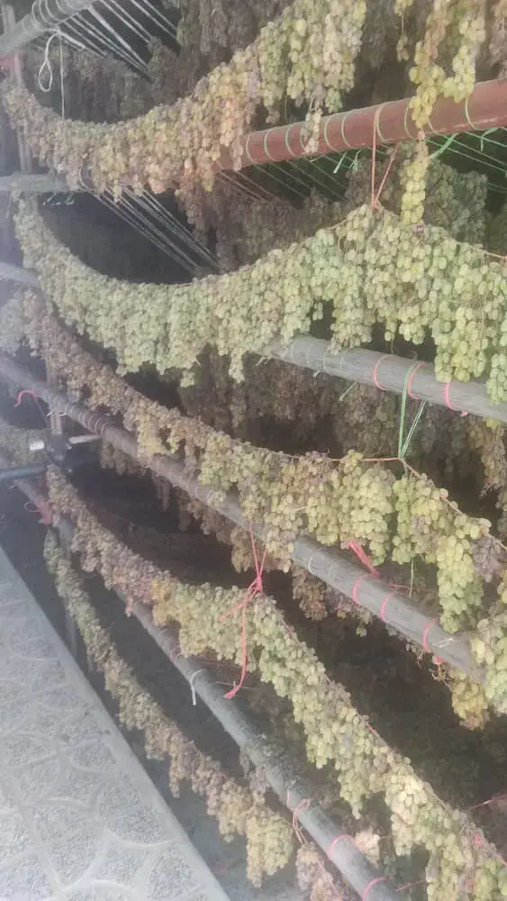 کشمش محلی درجه یک|خوردنی و آشامیدنی|دهگلان, |دیوار