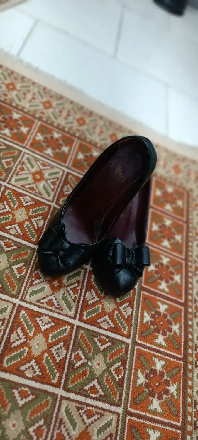 کفش مجلسی|کیف، کفش، کمربند|مشهد, امیر|دیوار