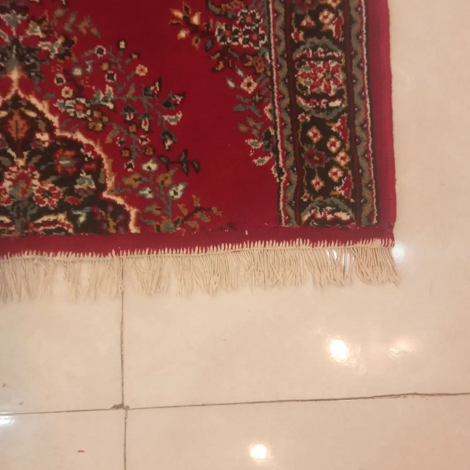 کناره یا قالیچه|فرش|صدرا-فارس, فاز ۲|دیوار