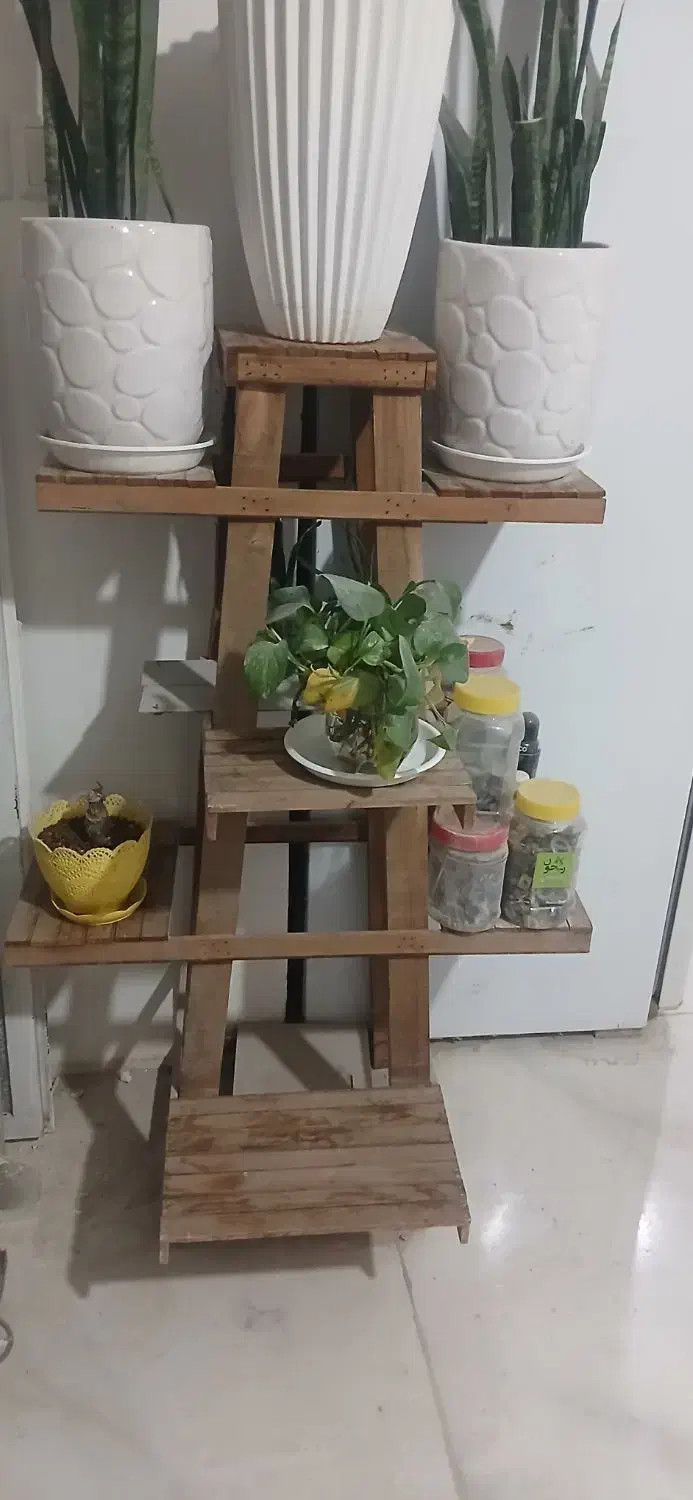 پایه گلدان|گل و گیاه طبیعی|مشهد, عبادی|دیوار