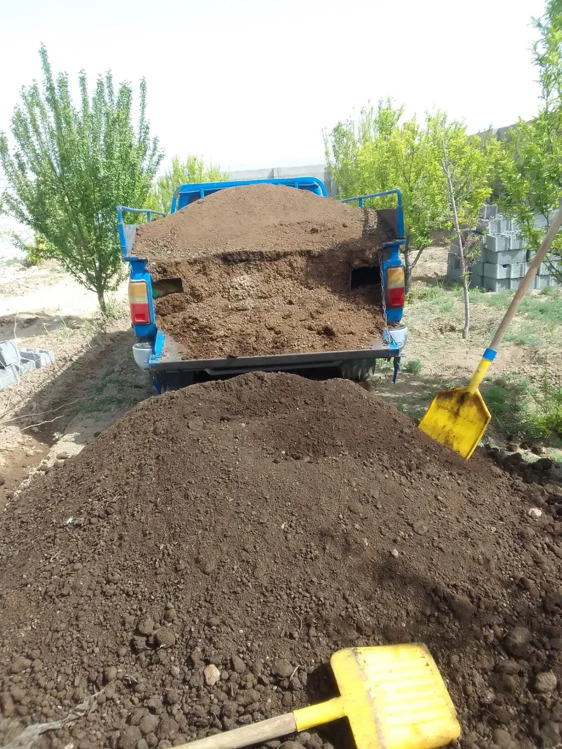 انواع کودگاوی گوسفندی درکل استان البرزوکیسه ای|گل و گیاه طبیعی|هشتگرد, ینگی امام|دیوار