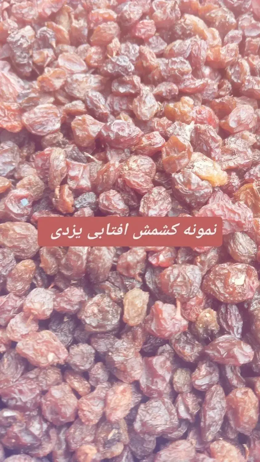 خشکبار رحیمی|خوردنی و آشامیدنی|رشت, پاره بیجار|دیوار