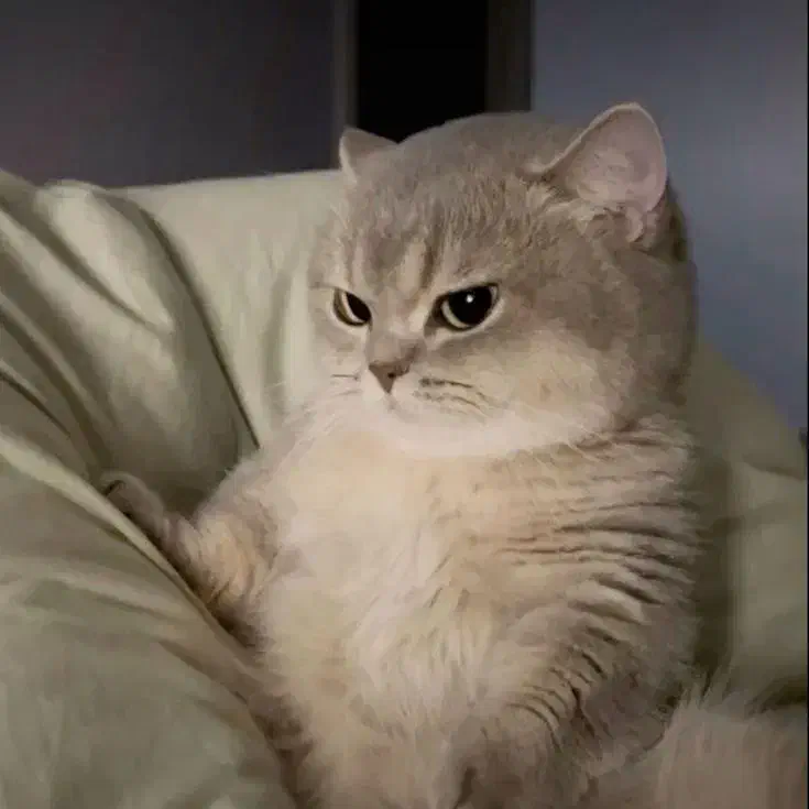 ضامن میخوام  شیرینی خوب میدم|فعالیت داوطلبانه|مسجد سلیمان, |دیوار