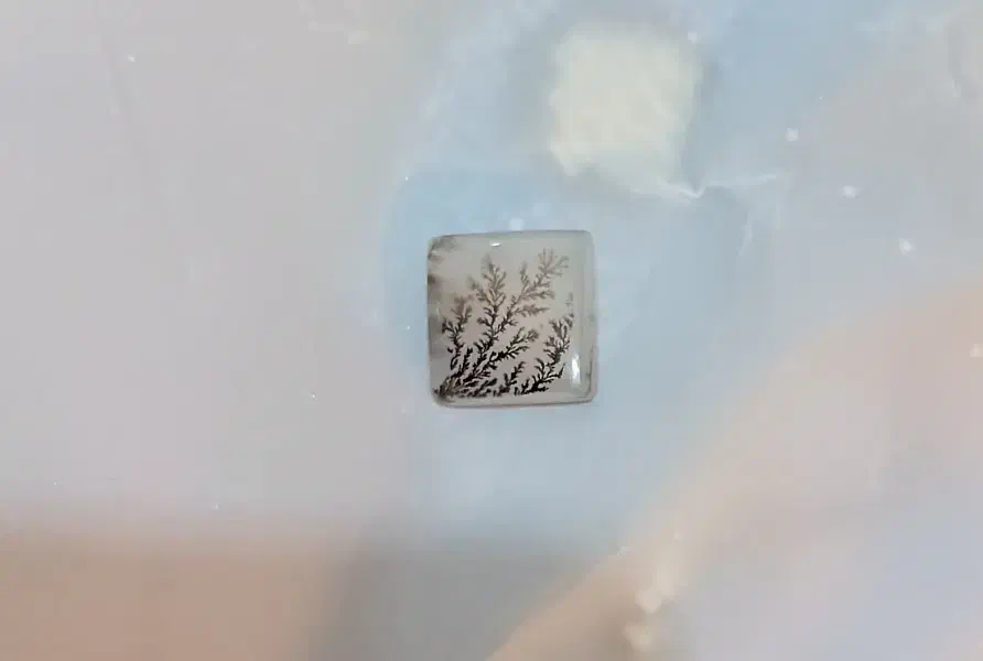 شجر|جواهرات|کهریزک, |دیوار