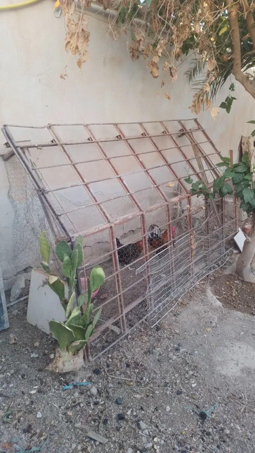 وسایل خانه|حراج|شادگان, |دیوار