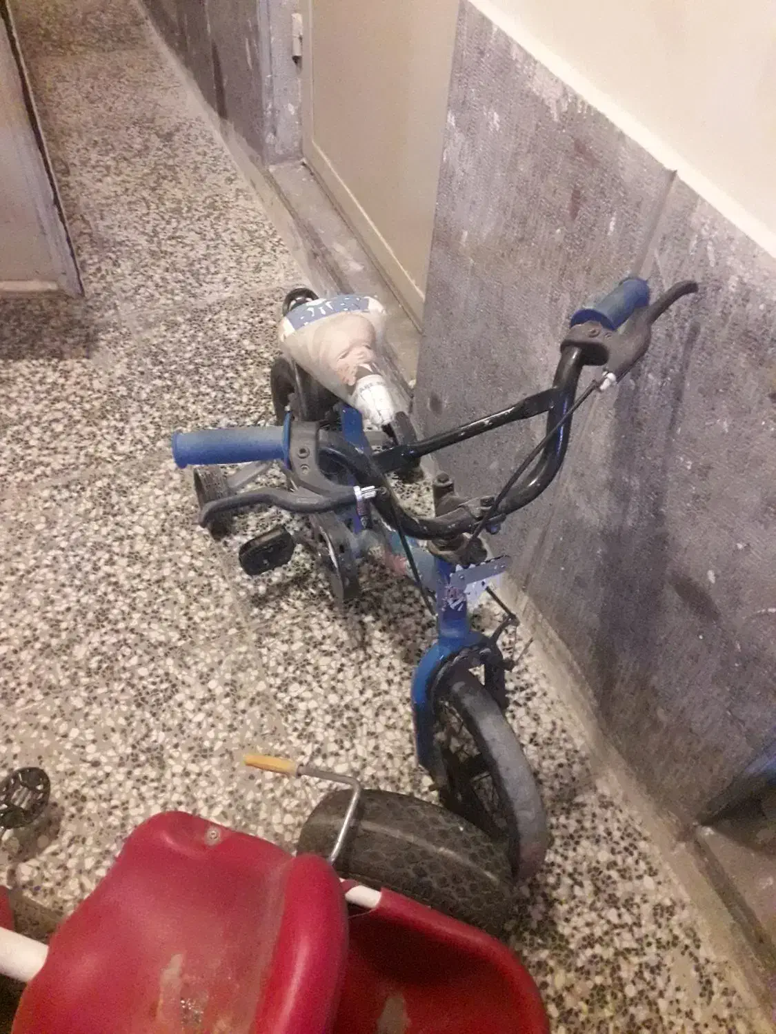 دوعدد چرخ یک دوچرخه دست سه چرخه سالم|دوچرخه، اسکیت، اسکوتر|مشهد, حجاب (شهرک غرب)|دیوار