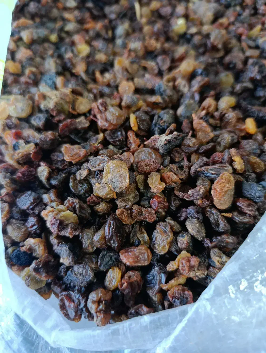 کشمش ابگیری|خوردنی و آشامیدنی|ملایر, |دیوار