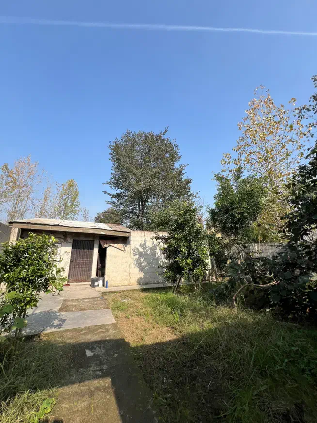 خونه باغ ۲۰۰مترگلساربلوارگیلان دونبش دسترسی عالی|اجارهٔ خانه و ویلا|رشت, بلوار گیلان|دیوار