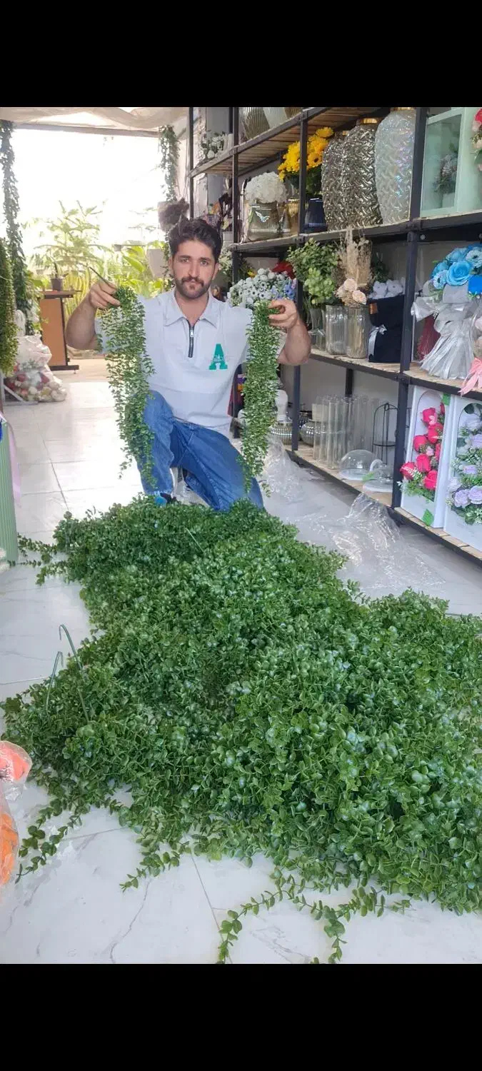 شمشاد آویز     .حراجی.|گل مصنوعی|درگزین, |دیوار