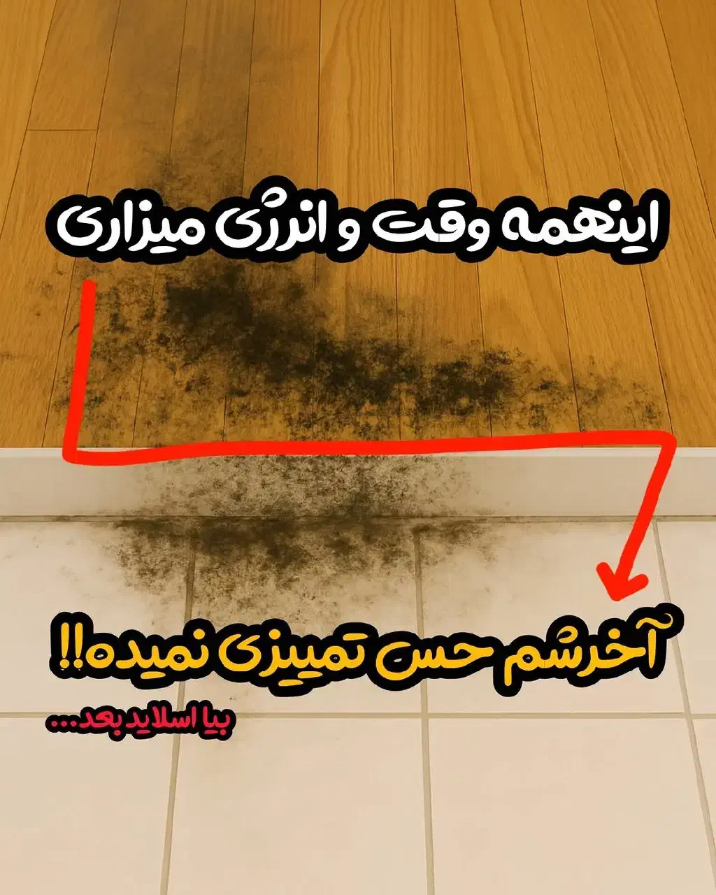 پک  کف|مواد شوینده و دستمال کاغذی|طبس, |دیوار