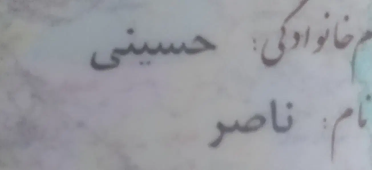 کارت ملی به نام ناصر حسینی گمشده|اشیا|زاهدان, |دیوار