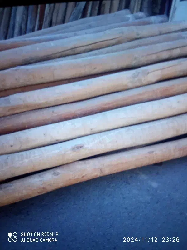 خرید چوب سقفی قلمه...|خدمات باغبانی و درختکاری|ارومیه, |دیوار