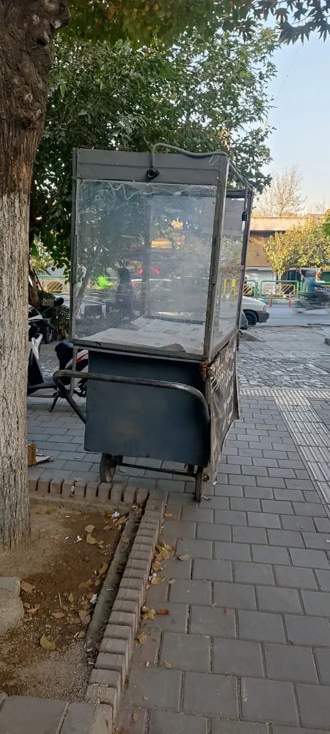 چرخ گاری سیگارو  و چایی|فروشگاه و مغازه|تهران, شیخ هادی|دیوار