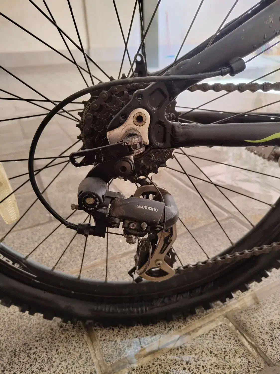 دوچرخه|دوچرخه، اسکیت، اسکوتر|شیراز, ارم|دیوار