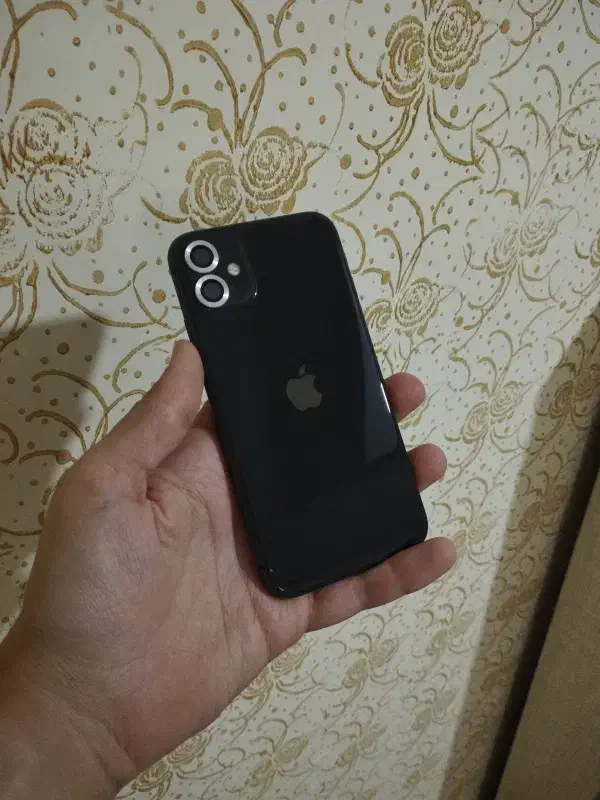 آیفون ۱۱ پک اصلی|موبایل|قزوین, |دیوار