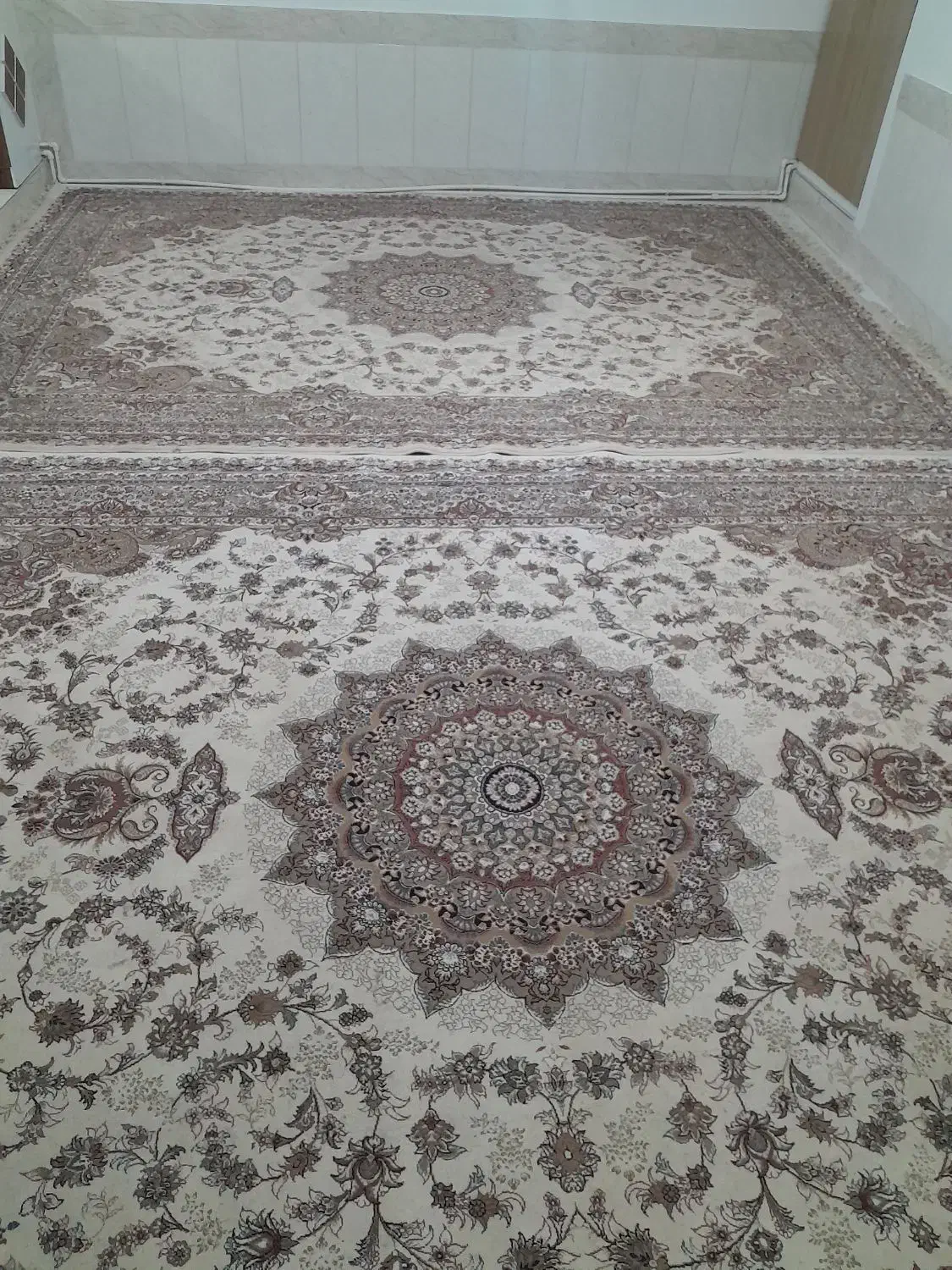 یک جفت فرش ۱۲ متری|فرش|بیرجند, |دیوار