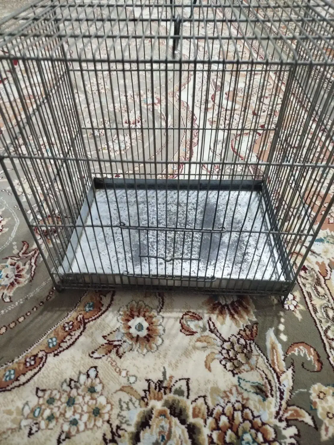 قفس غلامی سالم بدون شکستگی|لوازم جانبی حیوانات|تهران, تهرانسر غربی|دیوار