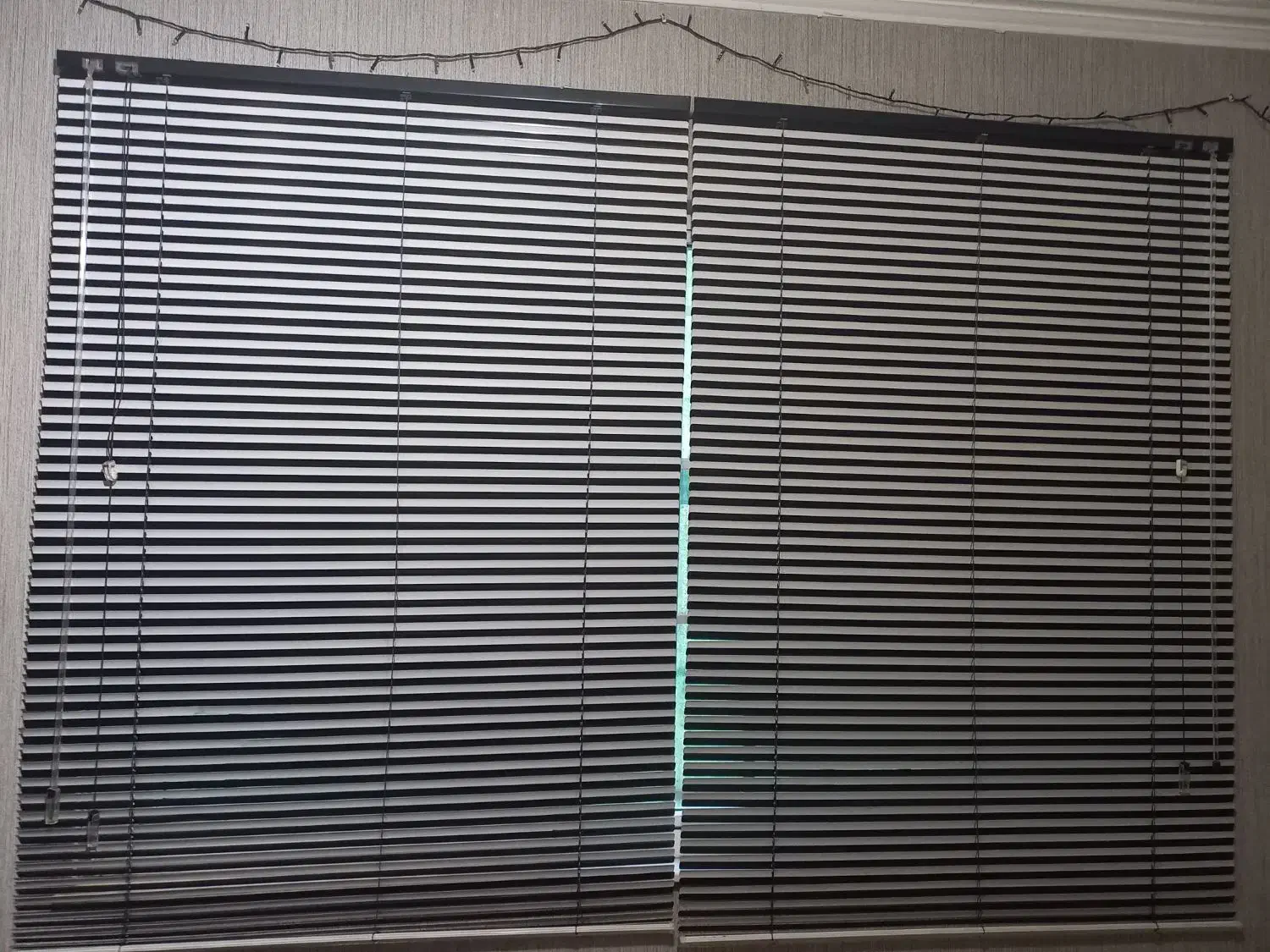 پرده کرکره|پرده، رانر، رومیزی|رشت, کاکتوس|دیوار