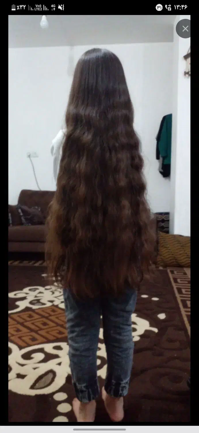 بدون واسطه اصلی|موکت|شوشتر, |دیوار