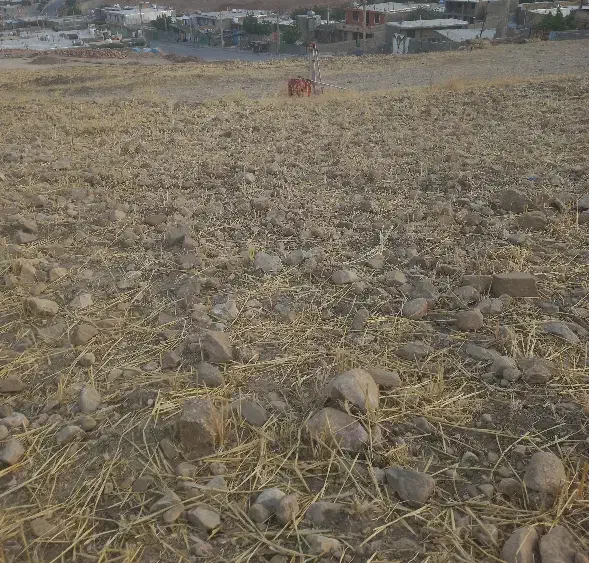 فروش فوری یک قطعه زمین  در دیشموک|فروش زمین و ملک کلنگی|دیشموک, |دیوار