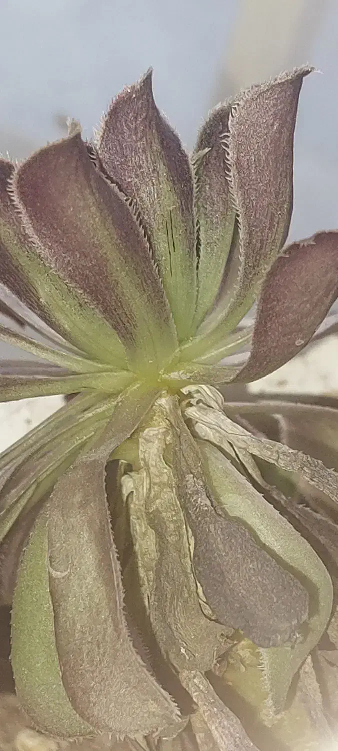 راهنمایی برای زندگی پس از طلاق|فعالیت داوطلبانه|پردیس, فاز ۱۱|دیوار