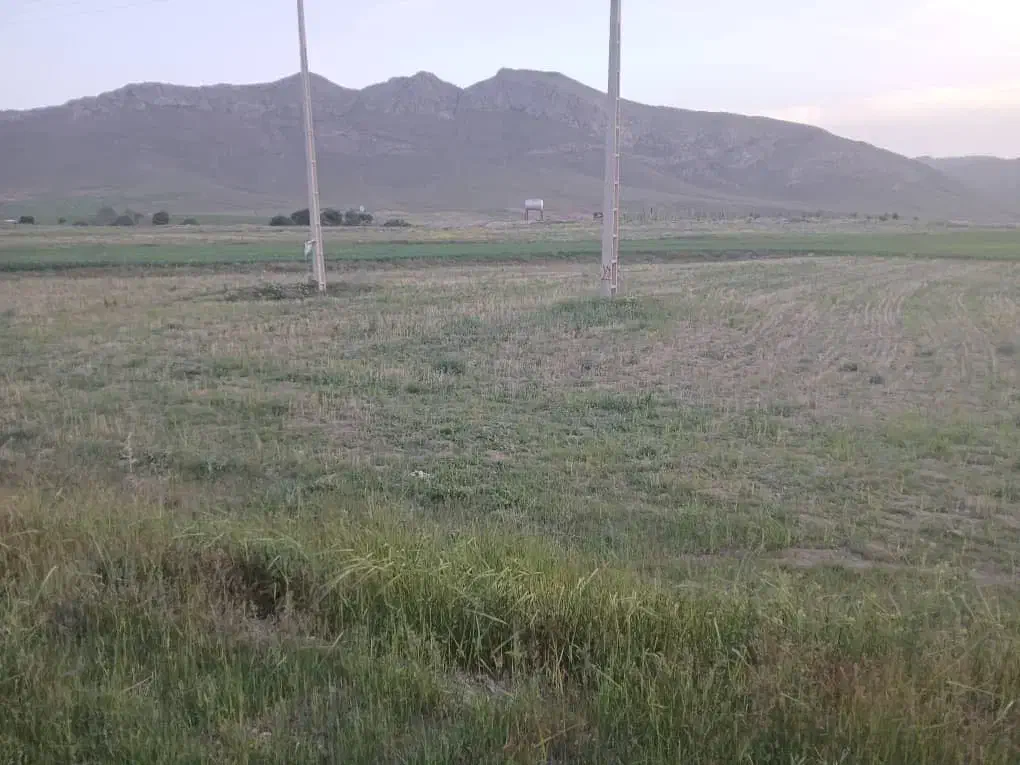 فروش زمین|فروش زمین و ملک کلنگی|آبگرم, |دیوار