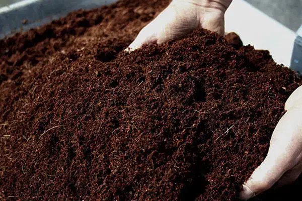 خاک باغچه کیسه ای 50 کیلو فقط 60 هزار|خدمات باغبانی و درختکاری|زاهدان, |دیوار