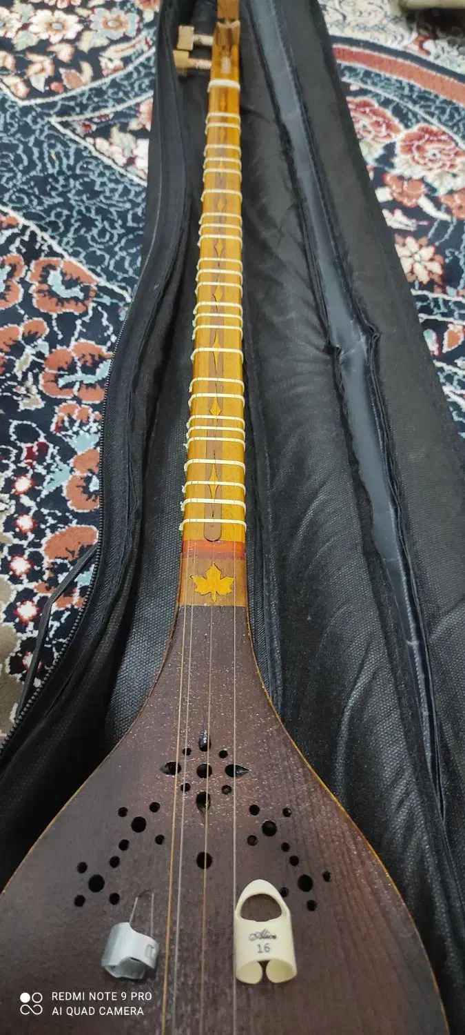 سه تار دلنواز|سازهای سنتی|صدرا-فارس, فاز ۲|دیوار