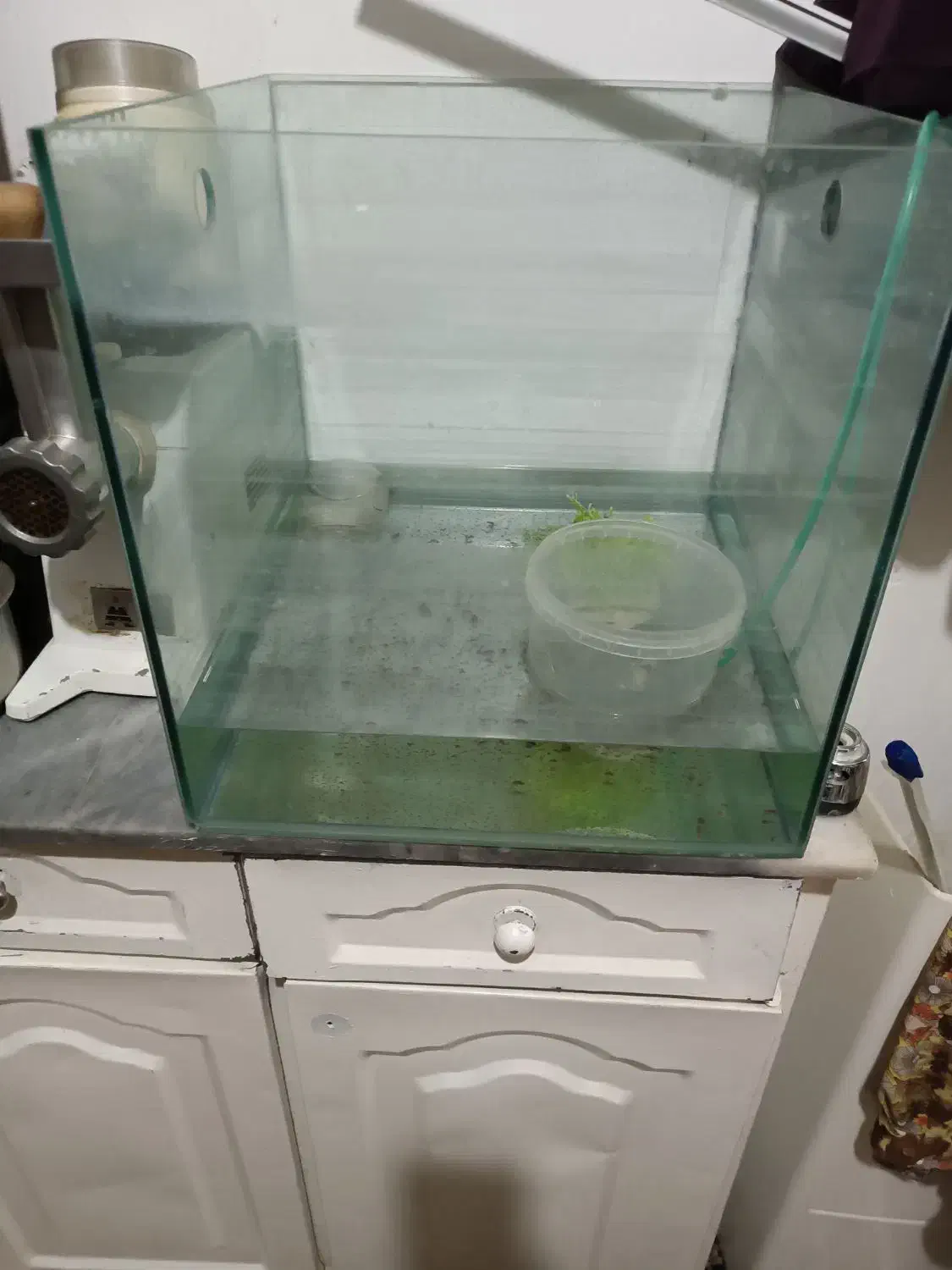 اکواریوم وماهی و پمپ و....|ماهی|همدان, |دیوار