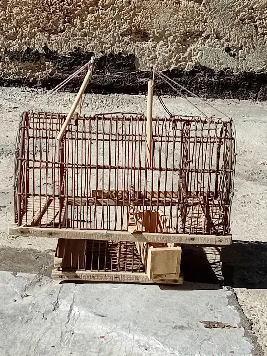 دوعدد قفس سایز بزرگ با یک عدد جفت تله|لوازم جانبی حیوانات|ایلام, |دیوار