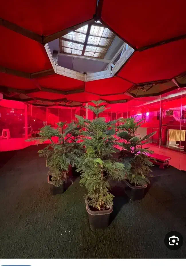 ۵۰۰مترزمین کهک بهترین جا برای باغ یاباغچه|فروش زمین و ملک کلنگی|کهک, |دیوار