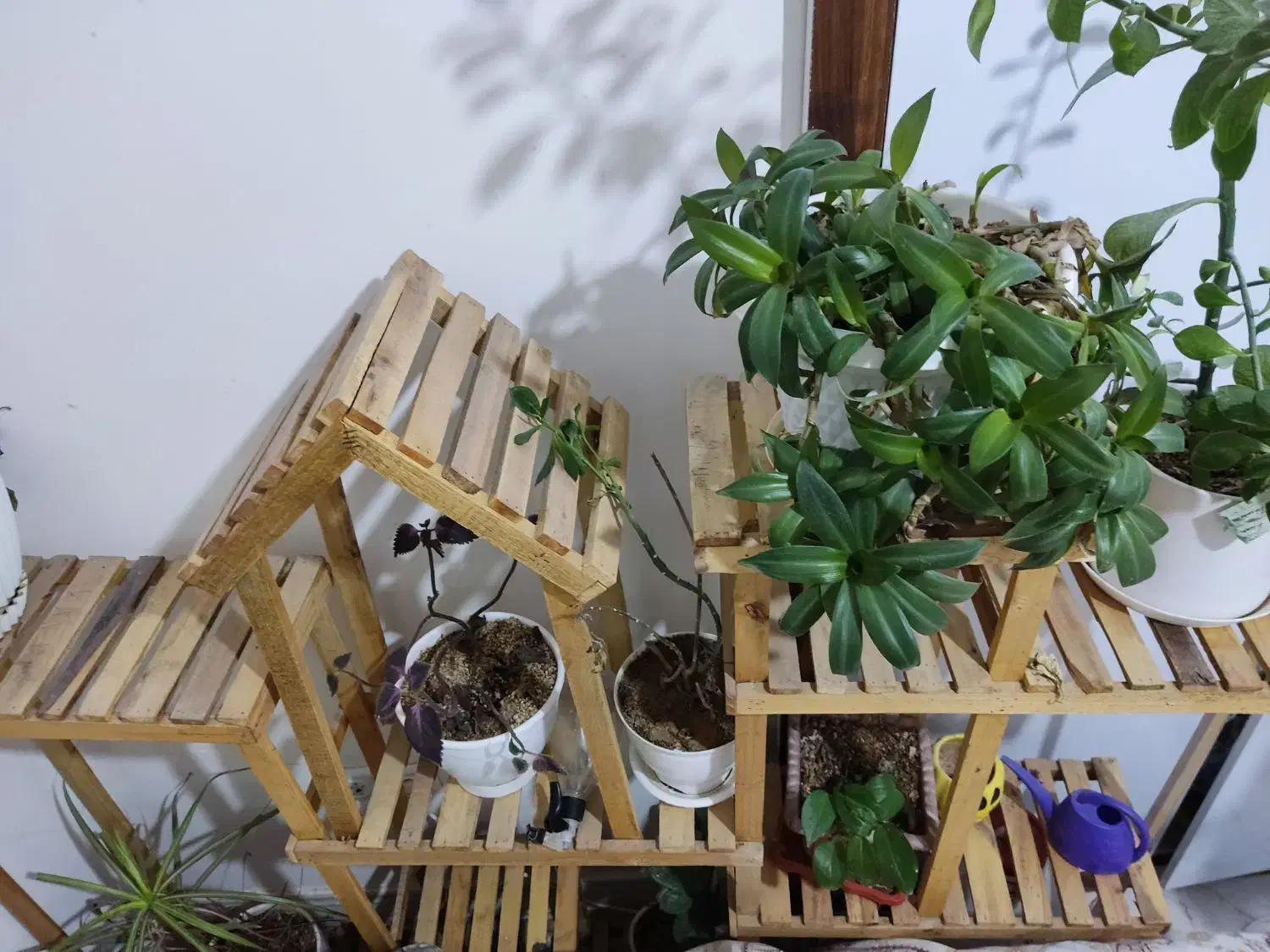 پایه گل چوبی|صنایع دستی و سایر لوازم تزئینی|تربت‌حیدریه, شهرک ولیعصر|دیوار