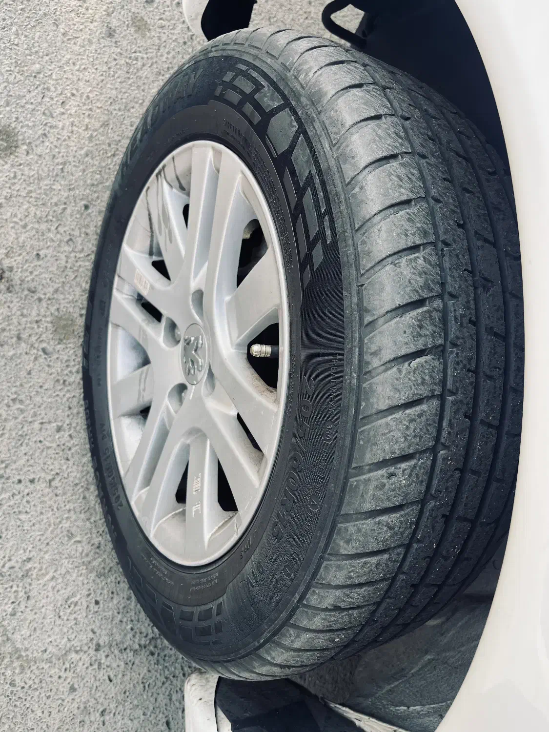 لاستیک پژو|قطعات یدکی و لوازم جانبی|مشهد, انقلاب|دیوار