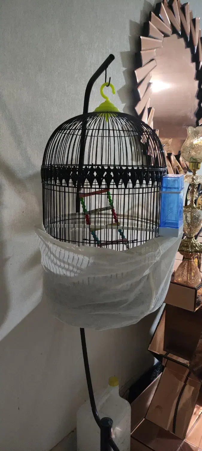 قفس قناری|لوازم جانبی حیوانات|تربتحیدریه, قائم|دیوار