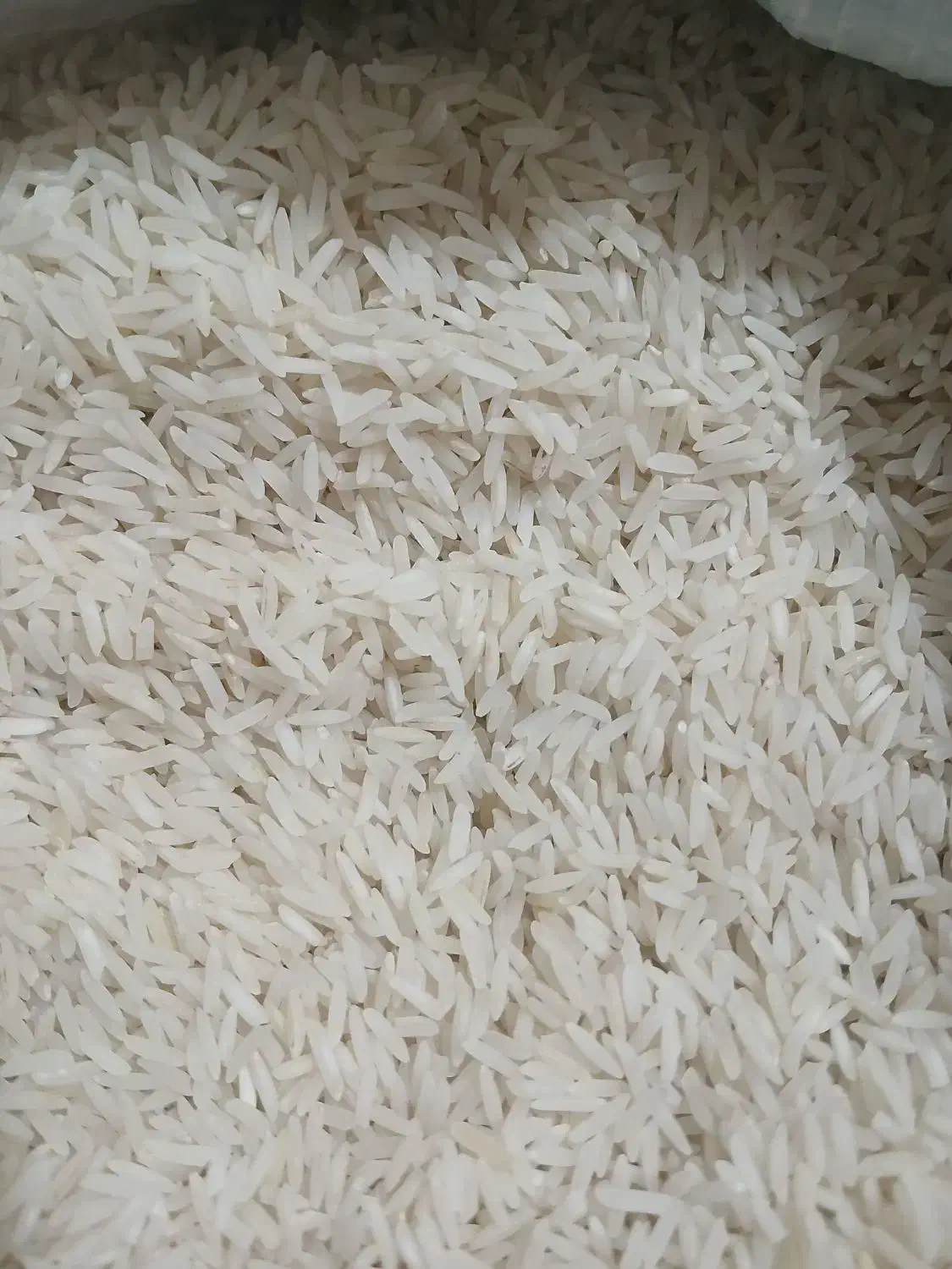 برنج پاکستانی هزاردستان و گل بانو|خوردنی و آشامیدنی|ایلام, |دیوار