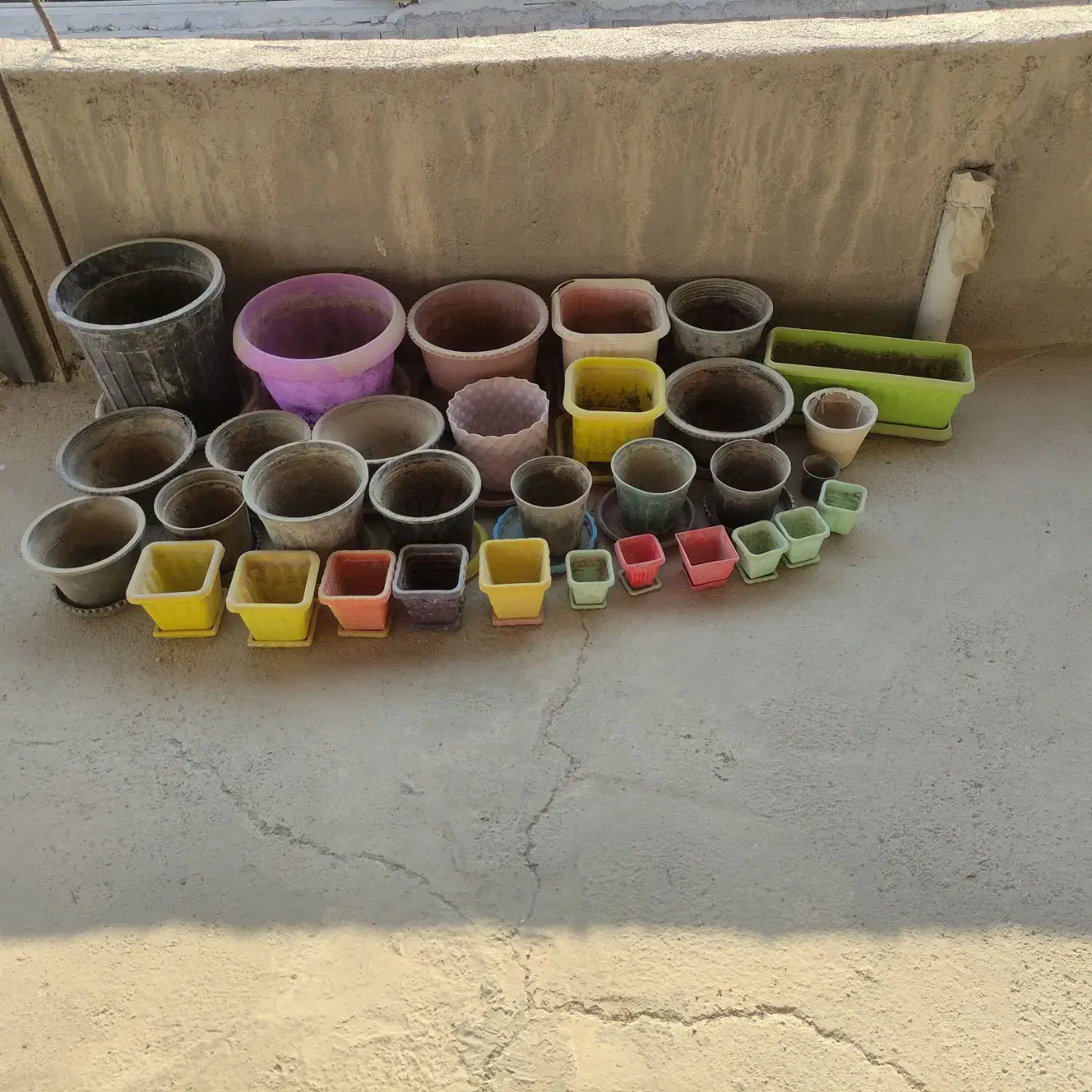 گلدان|گل و گیاه طبیعی|بندر کنگان, |دیوار