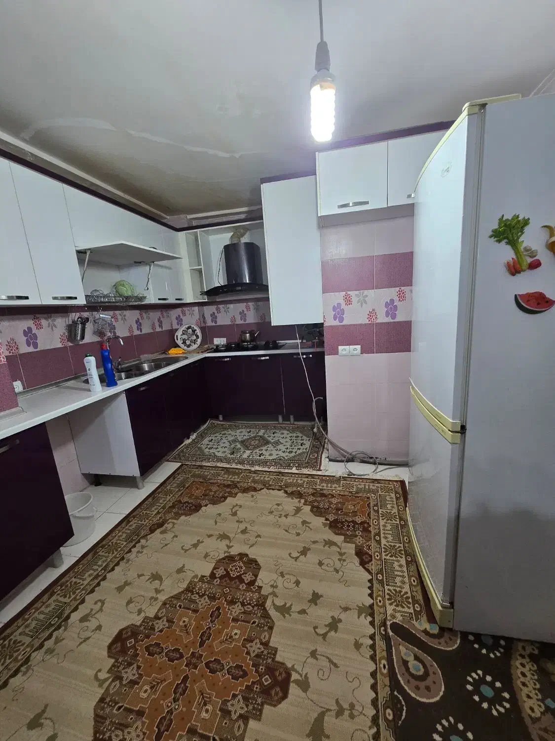 اجاره مبله|اجارهٔ خانه و ویلا|صدرا-فارس, فاز ۱|دیوار