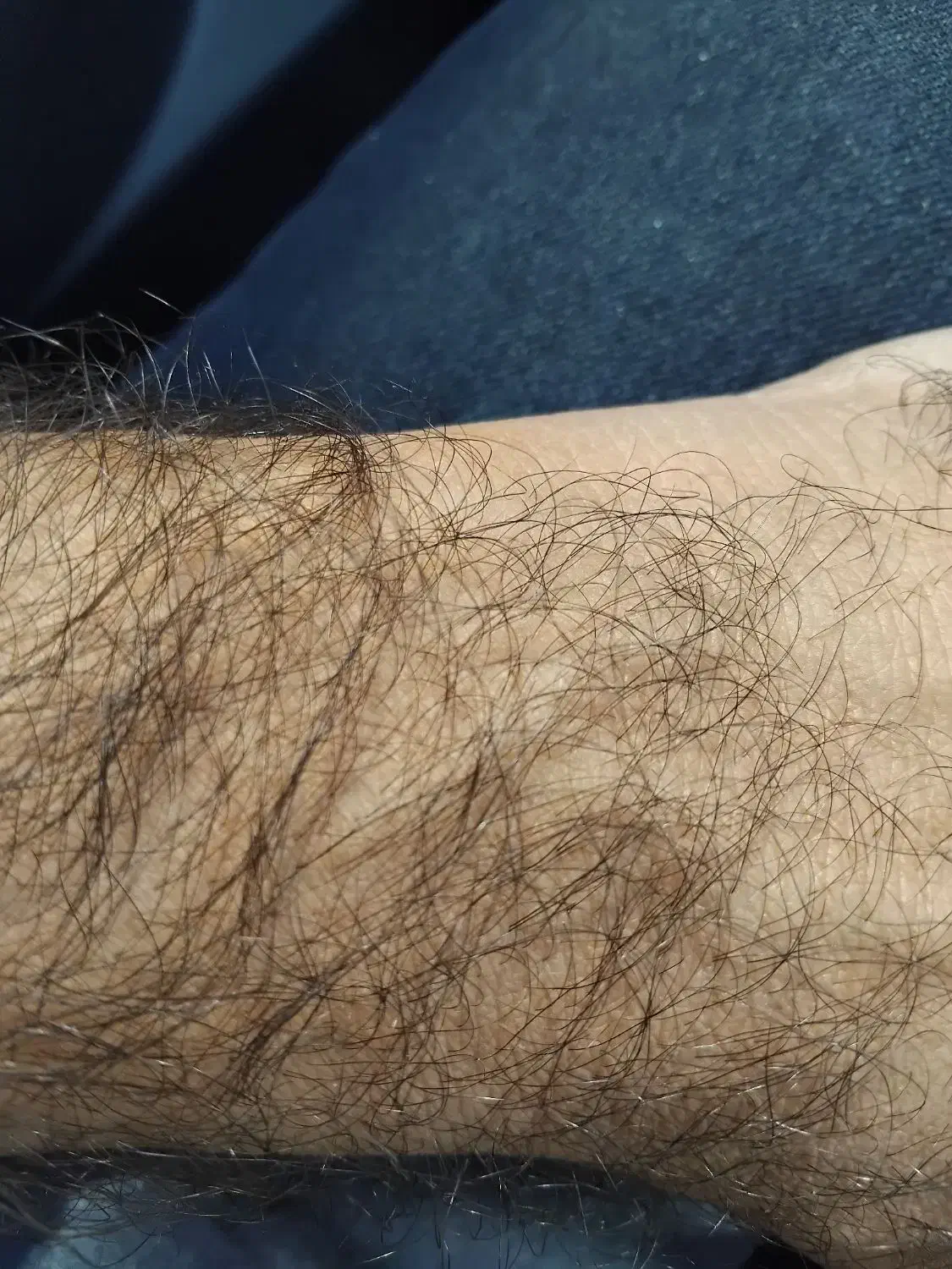 راهنمایی|فعالیت داوطلبانه تحقیقاتی|کرمانشاه, |دیوار