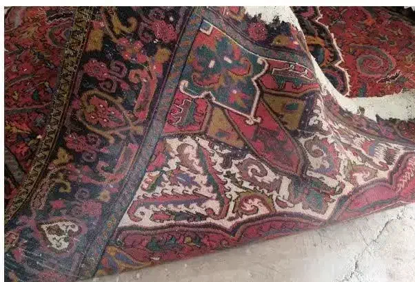 فرش ۱۲ متری شربیان درحدنو|فرش|مراغه, |دیوار