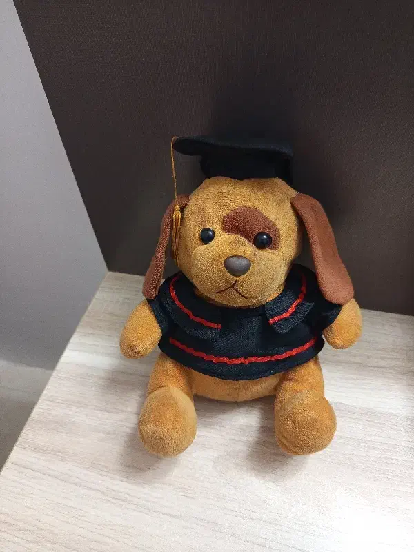 عروسک سگ دانشجو|اسباببازی بچه|تربتحیدریه, مظفریه|دیوار