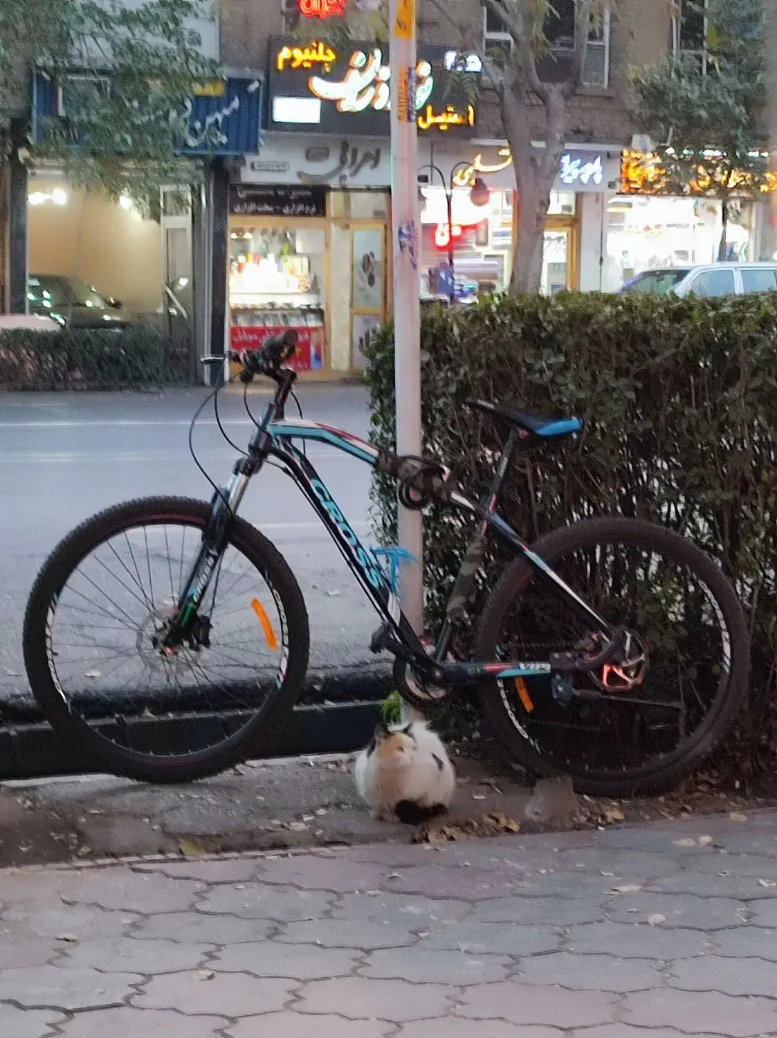 دزدیده شده دوچرخه|اشیا|تبریز, |دیوار