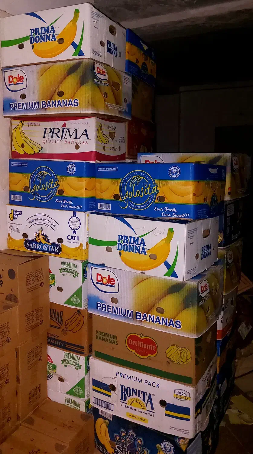 کارتون موز در حد نو|عمده‌فروشی|ساری, |دیوار