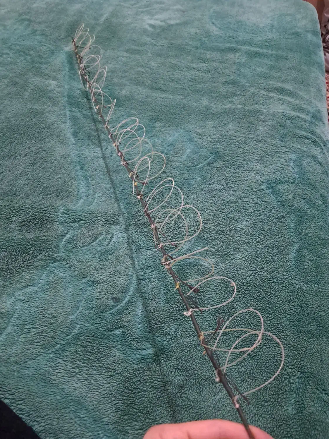 فروش تله برای صید پرندگان مورد علاقه|لوازم جانبی حیوانات|لاهیجان, گلستان|دیوار